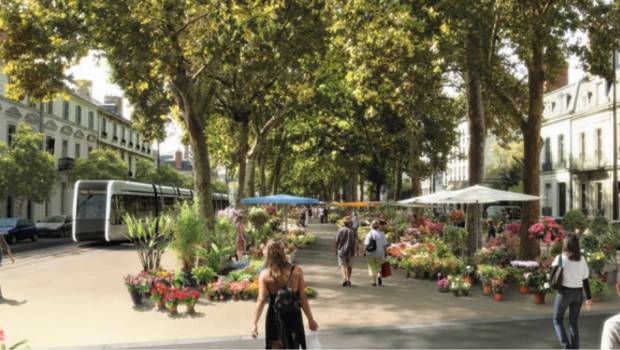 À Tours, le tramway passera boulevard Béranger