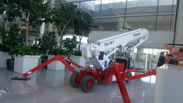 Deux araignées Palazzani à Séoul