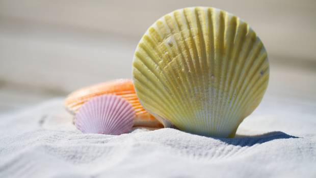 Nantes : un « escape game » consacré au sable