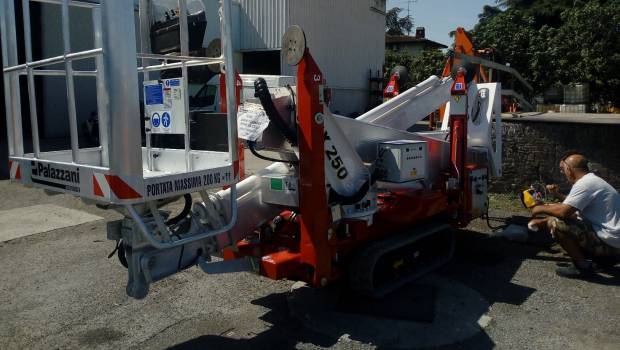 Une araignée Palazzani en Toscane