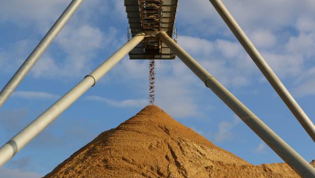 Les carrières dans le vert