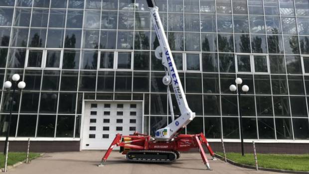 Une araignée Palazzani en Sibérie