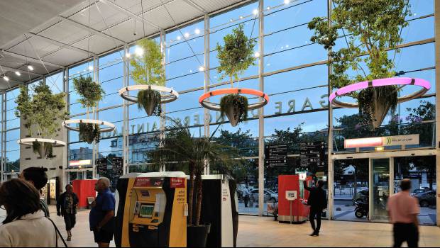 La gare TGV d'Angers Saint-Laud et sa forêt suspendue