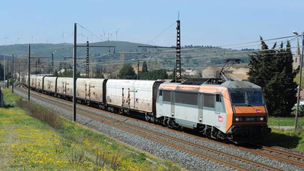 Perpignan-Rungis : qui aura la primeur ?