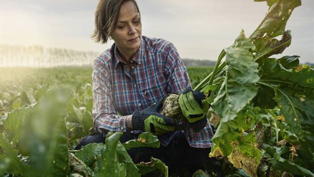 Volvo Penta renforce son engagement envers le WWF Climate Savers