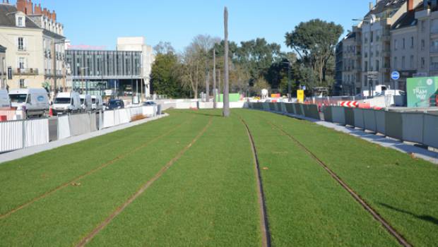 Un tapis vert en terre angevine