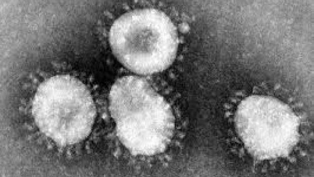 Coronavirus : la Ficime monte au créneau
