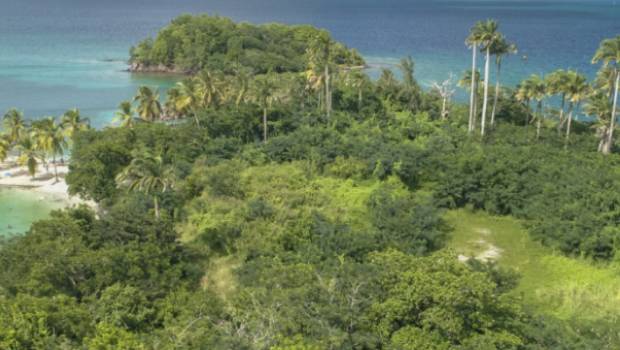Créer un hôtel écologique en Martinique : un concours d’architecture est lancé