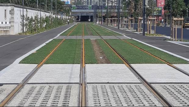 Du béton végétalisé coulé en place