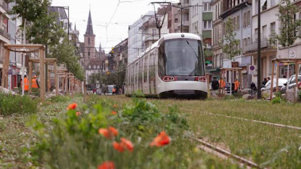 Extension de la ligne F du tram à Koenigshoffen