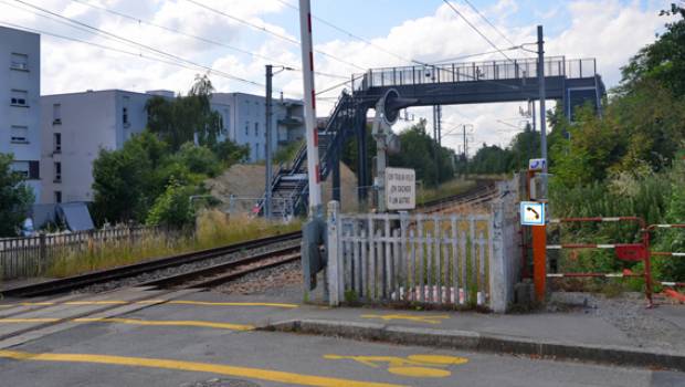 SNCF Réseau : un coyote pour sécuriser les passages à niveau