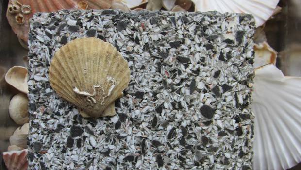 Club Sekoya : 6 nouvelles solutions bas carbone distinguées