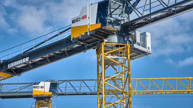 Grues à tour : le secteur vent debout face à la crise