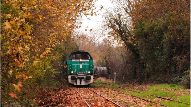6 M€ pour pérenniser les lignes de fret dans le Morvan