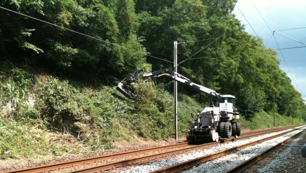 Haro sur la broussaille !