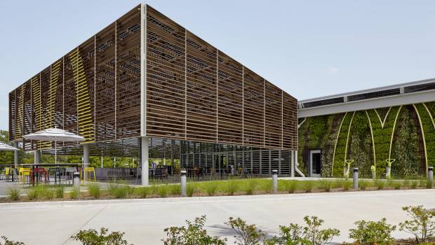 McDonald’s fait dans le resto rapide en bois