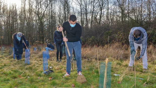 Quand Fuso joue à la reforestation