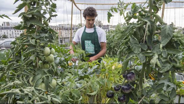 Les jardins suspendus de la RATP