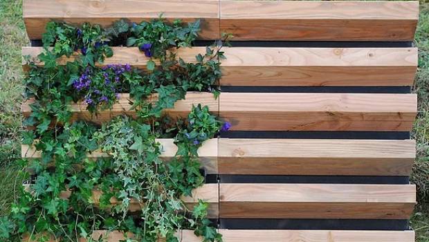 Créer des murs porteurs végétalisés sur les deux façades
