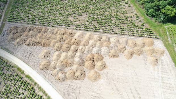 Valorisation agro-écologique des terres de chantier par Terra Innova