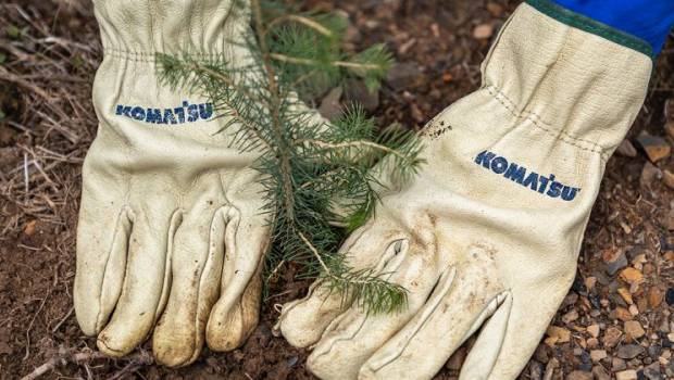 100 000 arbres pour Komatsu