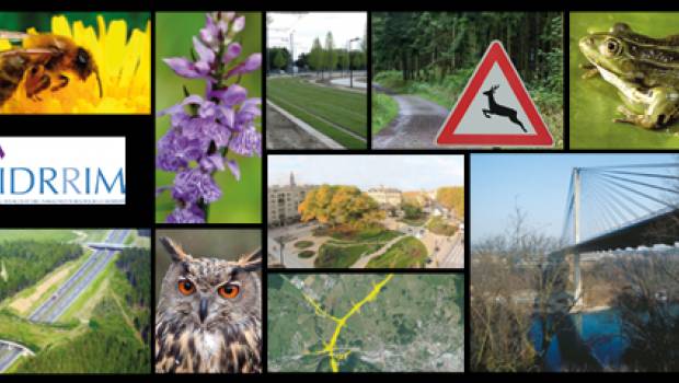 Prix IMBP 2021 : les candidatures sont ouvertes