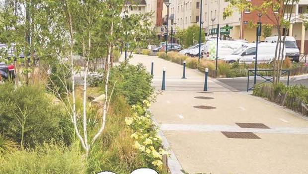 Une webconférence sur la gestion intégrée et durable des eaux pluviales