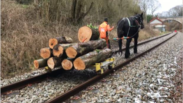 SNCF Réseau lâche les chevaux