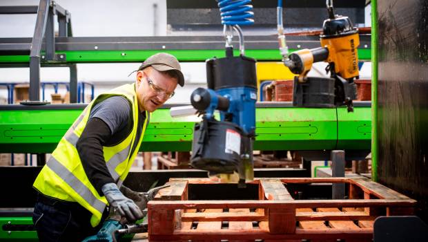 La location de palettes bois : un concept vertueux