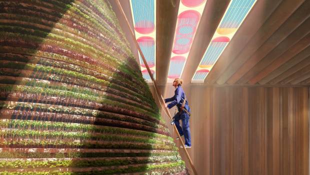 Expo 2020 Dubaï : un biotope autonome en énergie pour le Pavillon des Pays-Bas