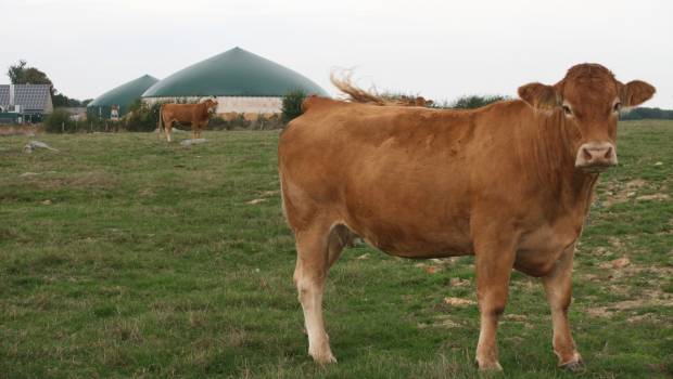 La méthanisation dans la loi Climat et résilience