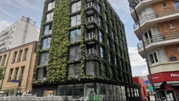 Hôtel Belleville à Paris 19e : 600 m2 de végétalisation verticale