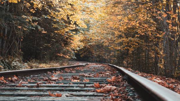 SNCF Réseau mène la bataille des feuilles mortes