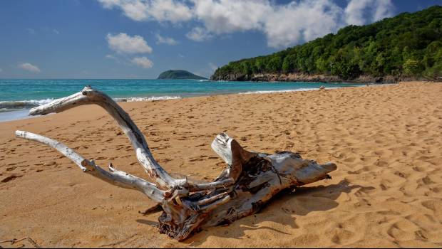 Pourquoi la Guadeloupe a soif ? Explications