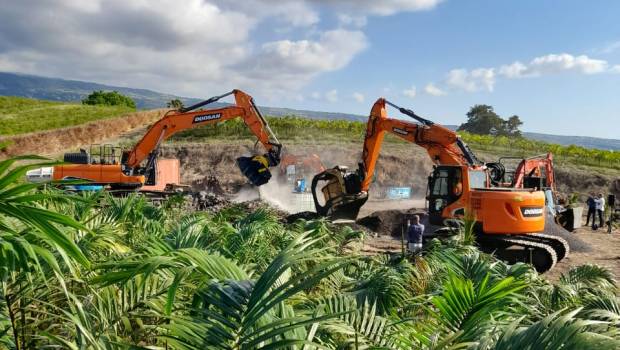 DMP fait le show à la Réunion