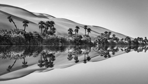 La Défense accueille les photos de Sebastião Salgado