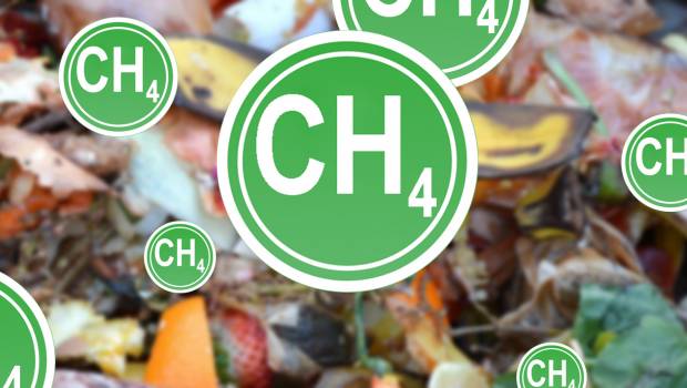 La gazéification hydrothermale devient plus concrète