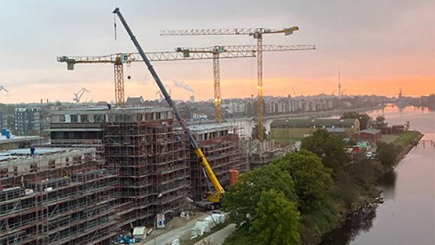 Trois grues pour un port