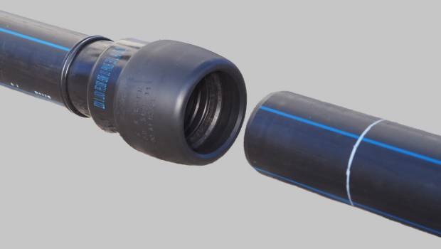 Elydan est en pleine forme !