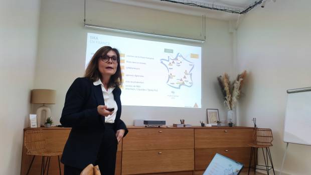 Sika lance sa démarche Eva pour un béton bas et très bas carbone