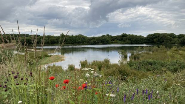 Une démarche partenariale pour un réaménagement écologique de carrière