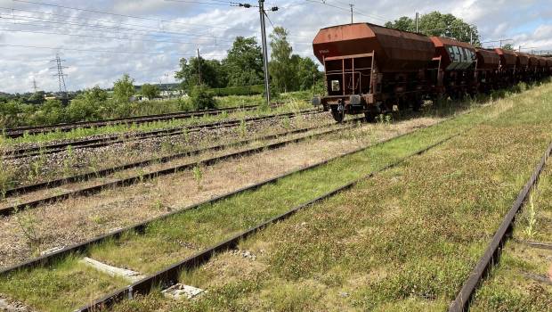 SNCF Réseau : vers une maitrise de la végétation