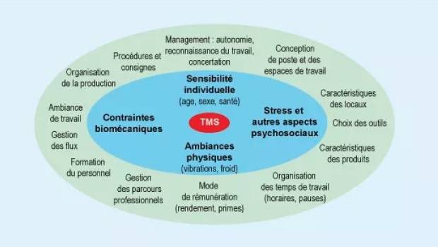 TMS : quelle évolution évolution des facteurs de risque entre 2010 et 2017 ?