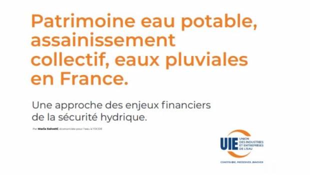 Union Nationale des Industries et Entreprises de l'Eau - UIE