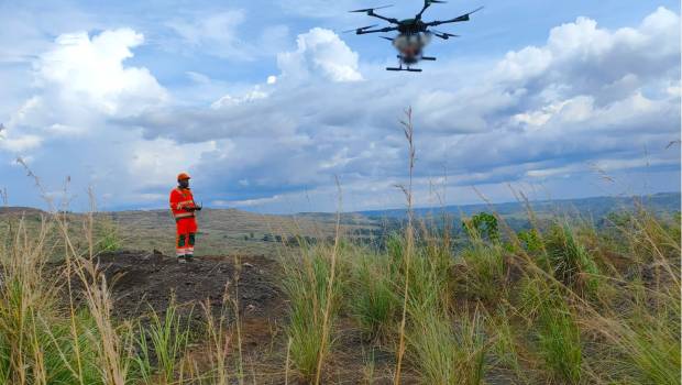 MORFO : reforester après l'exploitation minière