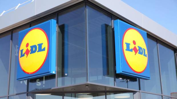 La construction d’un Lidl bloquée pour cause de lézards