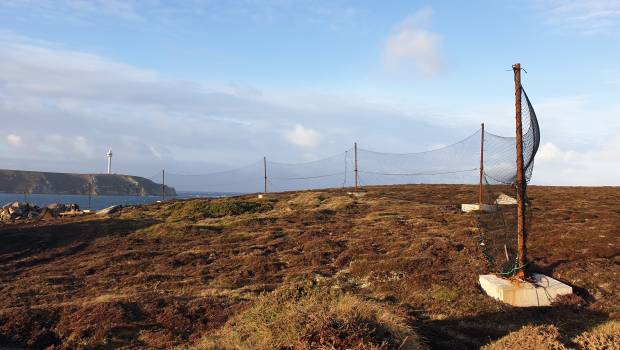 Dépollution : restauration expérimentale d’une décharge sur l’île d’Ouessant