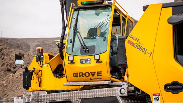 Une Grue Grove se distingue au Pérou