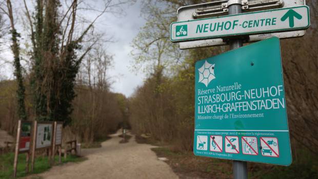 La réserve naturelle de Neuhof Illkirch assainit ses routes et sentiers