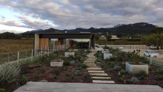 Une terrasse végétalisée avec vue sur les vignes dans le Vaucluse